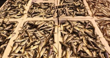 Ramazan Ayında Trabzon'da Balık Talebi Artıyor