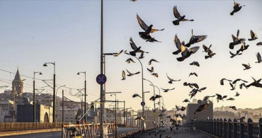 Ramazan Bayramı'nda Sokağa Çıkma Yasağı Olacak Mı?