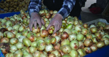 Ramazan'la Birlikte Patates ve Soğan Fiyatları Yarı Yarıya Düştü