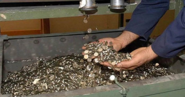 Resmi Gazete’de yayımlandı: Darphane Genel Müdürlüğü 30 kişi alacak! Başvurular başladı