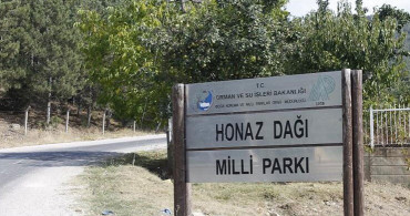 Restoranda Çıkan Yangında 3 Acı Kayıp