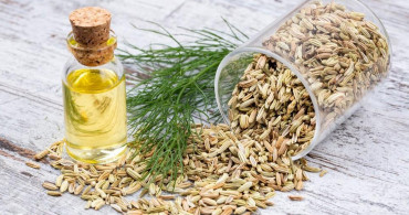 Rezene Tohumu Yağı Zayıflatır mı?