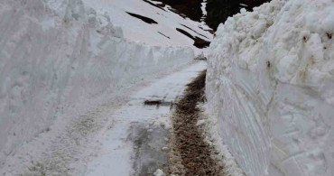 Rize Yayla Yolları Açılıyor