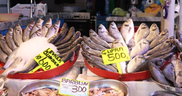 Rize'de Balık Fiyatları: Hamsi ve İstavrit Uygun Fiyatlarla Satışta