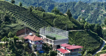 Rize'de çay alım yeri halı sahaya dönüştürüldü