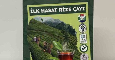 Rize'de Çay Tarımında Yenilikçi Model: Migros’tan Stratejik İş Birliği