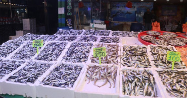 Rize'de Hamsi Bolluğu: Balık Tezgahlarında Fiyatlar Düşüyor