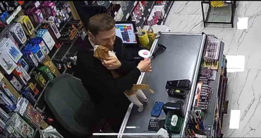 Rize'de Kedi ve Esnaf Arasındaki Sıcak Dostluk