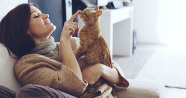 Rüyada Kedi Sevdiğini Görmek Ne Anlama Gelir?