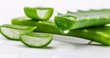 Saç ve Cilt Bakımında Mucize: Aloe Vera 