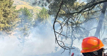 Saimbeyli’de çıkan orman yangını kontrol altına alındı