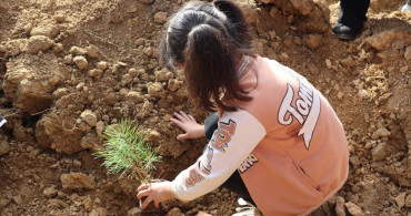 Sakarya ve Çevre İllerde Fidan Dikim Etkinlikleri