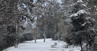 Sakarya ve Çevresinde Kar Yağışı Etkili Oldu