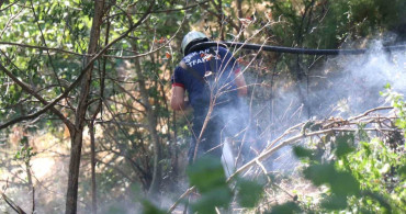 Sakarya'da ağaçlık alanda çıkan yangın hızla kontrol altına alındı