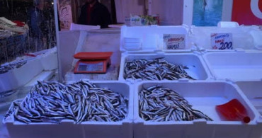 Sakarya'da Av Yasağı Öncesi Son Balıklar Tezgahlarda