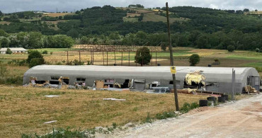 Sakarya'da hayvan çiftliğinde yangın: 5 kuzu telef oldu, bin balya yandı