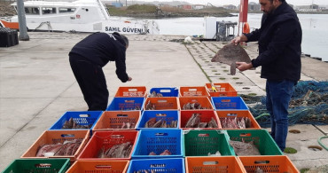 Sakarya'da Kaçak Kalkan Avcılığına Ceza