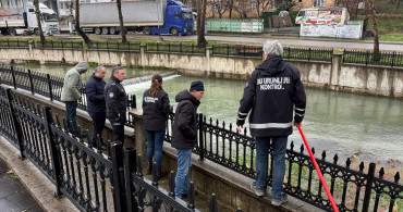 Sakarya'da Toplu Balık Ölümleri İnceleniyor
