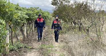 Sakarya'da Üzüm Üreticileri Hırsızlıkla Mücadele İçin Nöbette
