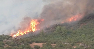 Salihli'de Orman Yangınları İçin Önlem Kararı