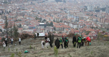 Samsun ve Çevre İllerde Fidan Dikimi Yapıldı