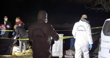 Samsun'da 9 Ölü Köpekle İlgili Soruşturma Başlatıldı