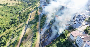 Samsun'da anız yangını kontrol altına alındı