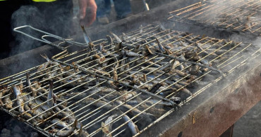 Samsun'da Hamsi Festivali: 3 Ton Hamsi 2 Saate Tükendi