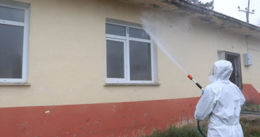 Samsun'da Kahverengi Kokarca ile Mücadele Başlatıldı