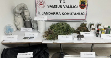 Samsun'da Kenevir Operasyonu: Jandarma Suçüstü