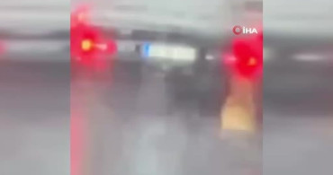Samsun'da Köpeği Sürükleyen Şahıs Gözaltına Alındı