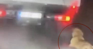 Samsun'da Köpeği Sürükleyen Şahıs Gözaltına Alındı