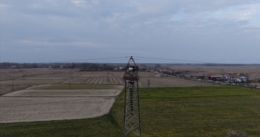 Samsun'da Leyleklerin Yüksek Gerilim Direklerine Yuva Yapması