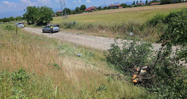 Samsun'da otomobil şarampole düştü, 3 kişi yaralandı