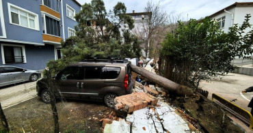 Samsun'da Rüzgarın Yıkıcı Gücü: 3 Araç Hasar Gördü