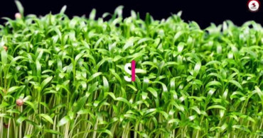 Samsun'da Tarım ve Hayvancılığa 3 Milyar TL Üstünde Destek Sağlandı