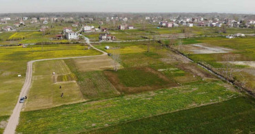 Samsun’da üretilen göl soğanlarından 1 tanesini izinsiz koparana: 112 bin TL ceza kesiliyor!