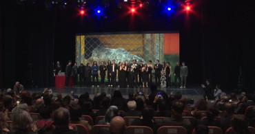 Sanatçıların Sokak Hayvanları İçin Birleştiği Proje: "Bir Patinin Nesi Var?"