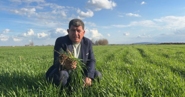 Şanlıurfa'da 2026 Yağışları Tarımı Canlandırdı