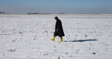 Şanlıurfa'da Kar Yağışı Çiftçilerin Umudu Oldu