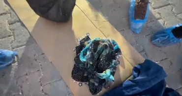 Şanlıurfa’da karısını öldüren zanlı tutuklandı