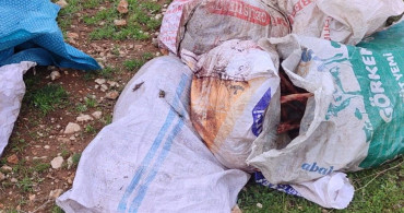 Şanlıurfa'da Kesilmiş At Kafası Bulundu