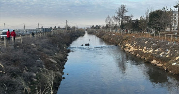 Şanlıurfa'da Sulama Kanalına Düşen Otomobilden Sürücü Aranıyor