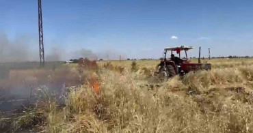 Şanlıurfa'da Yangın Felaketi: Çiftçinin Arpa Tarlası Kül Oldu