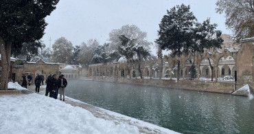 Şanlıurfa'nın Tarihi Balıklıgöl Karla Kaplandı
