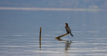 Sapanca Gölü'nde Su Seviyesindeki Artış