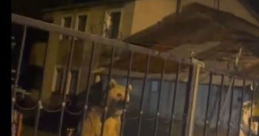 Sarıkamış'ta ayılar evde misafir, vatandaş bahçede bekledi