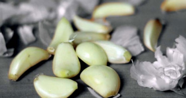 Sarımsak Neden Çabuk Bozulur? Sarımsak Saklamanın Püf Noktaları Nelerdir?