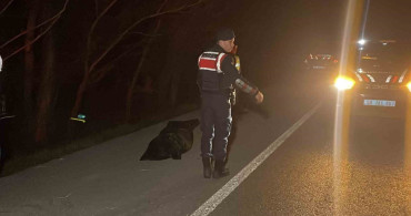 Şarkışla'da Trafik Kazası: 1 Ölü, 4 Yaralı