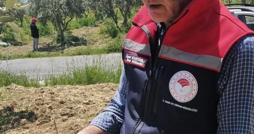Şarköy'de Zeytin Üreticilerine İlaçlama Uyarısı